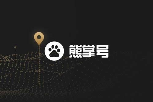 北京SEO分析熊掌号和SEO哪个好