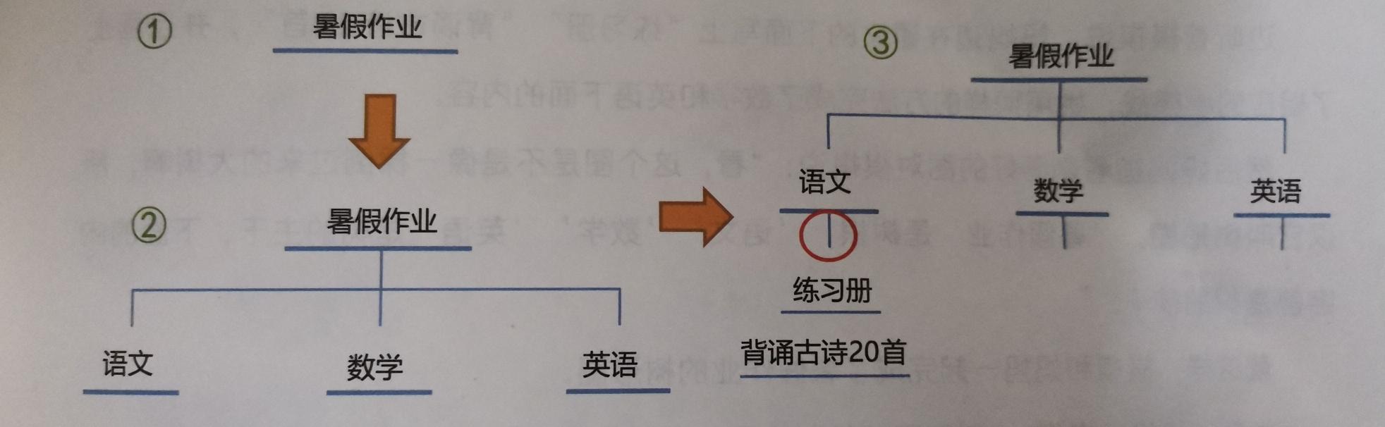 树型结构图属于什么模型（了解树形结构的特点和作用）