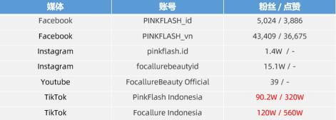 PINKFLASH店铺下的几款美妆产品在TikTok印尼热销榜排前（菲鹿儿是多渠道布局，打造流量闭环）