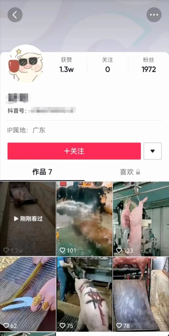 热门短视频的打造技巧（如何打造爆款短视频？学好这3招，不愁转赞评）