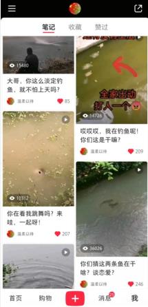 小红书什么时间发视频容易上热门（做小红书视频运营，几点发布的视频流量最高？）