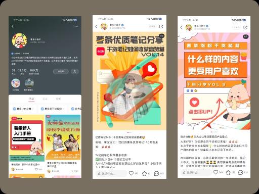 新品牌小红书投放总结（品牌推广如何做好新品的小红书投放）