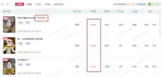 小红书涨粉数据（新号涨粉11w，获赞258.48w，小红书2月创作内容趋势是什么？）