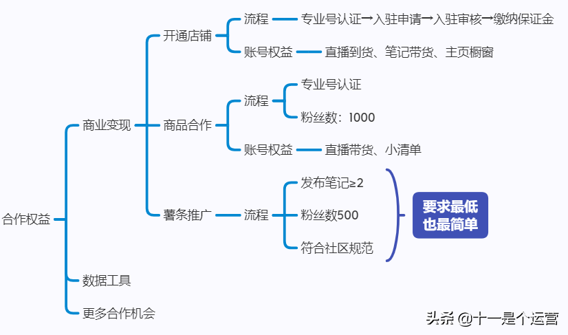 如何让自己的小红书火起来（以3000字、5个要点为你解答正确的运营知识和技巧）