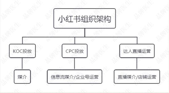 抖音快手小红书运营模式（如何搭建小红书&快手团队，让新品牌月销突破1000万？）