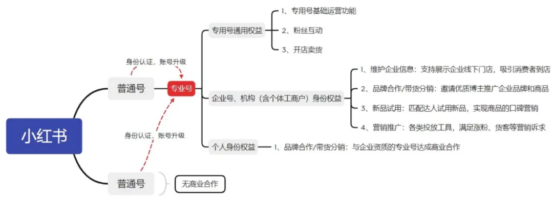 小红书kol推广方案（小红书品牌破局“内卷”的发力点在哪里？）