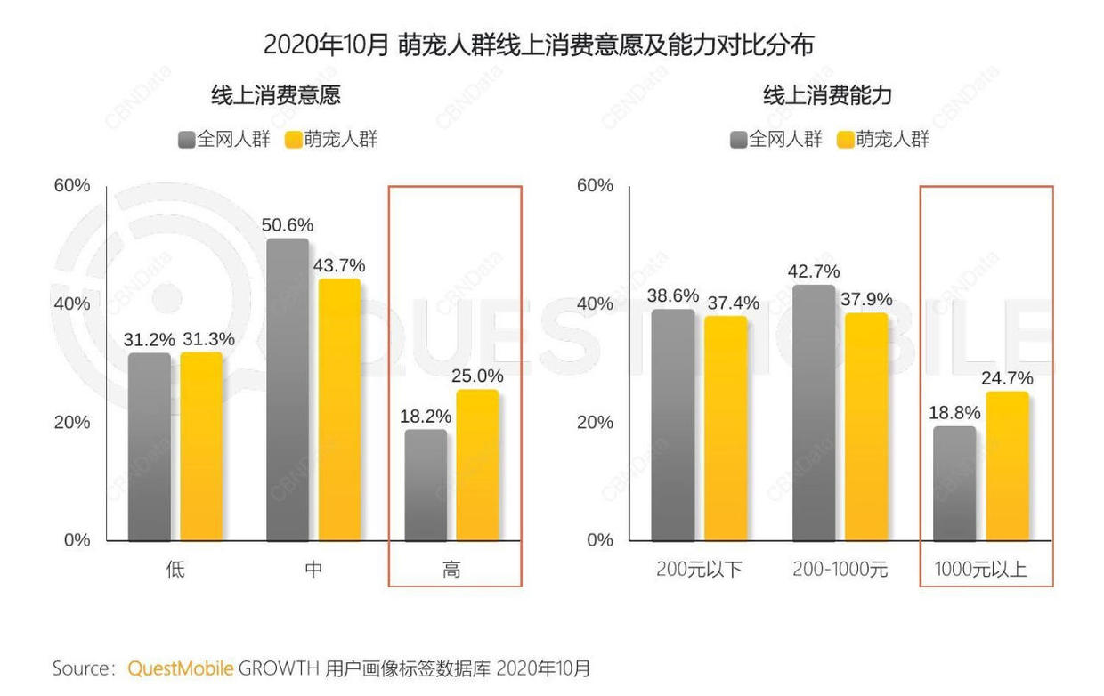 小红书宠物推广（宠物品牌如何玩转社交平台营销？）