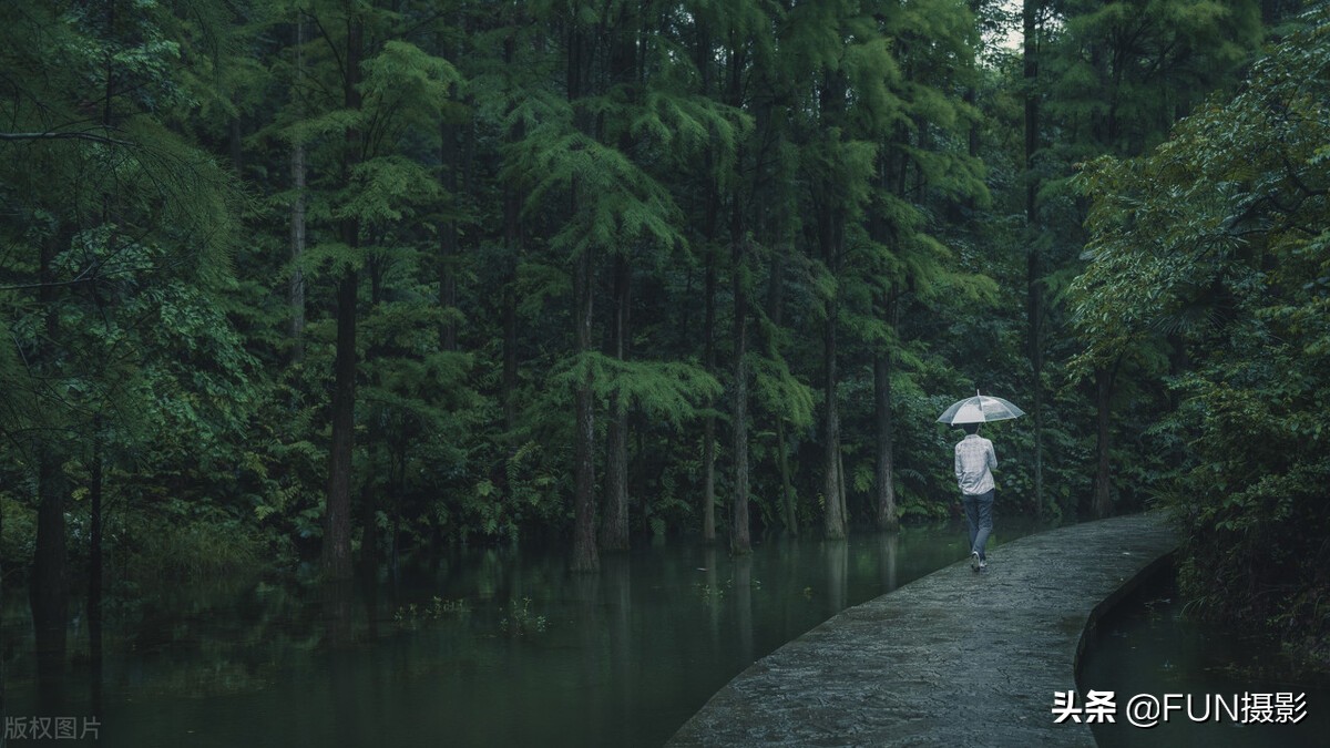 下雨天怎么拍照片好看（附6个技巧拍出下雨天的故事摄影大片）