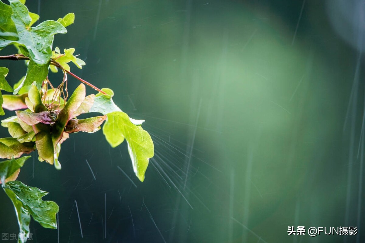 下雨天怎么拍照片好看（附6个技巧拍出下雨天的故事摄影大片）