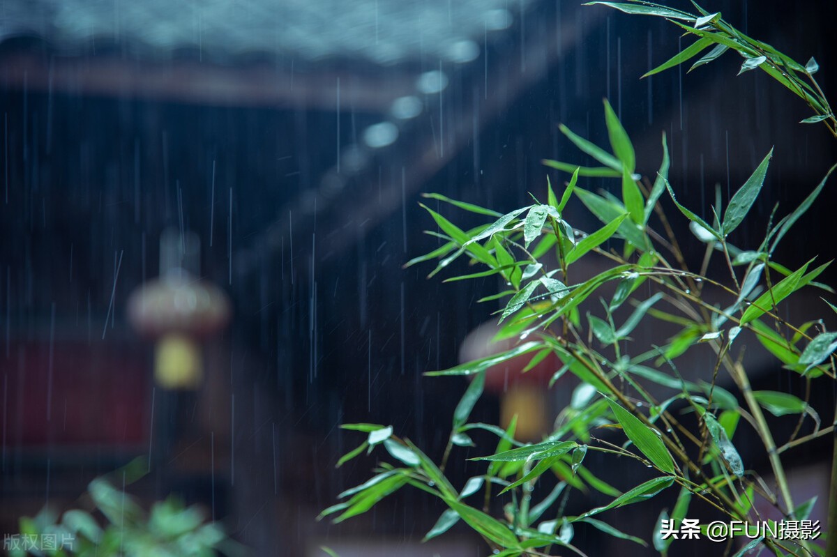 下雨天怎么拍照片好看（附6个技巧拍出下雨天的故事摄影大片）