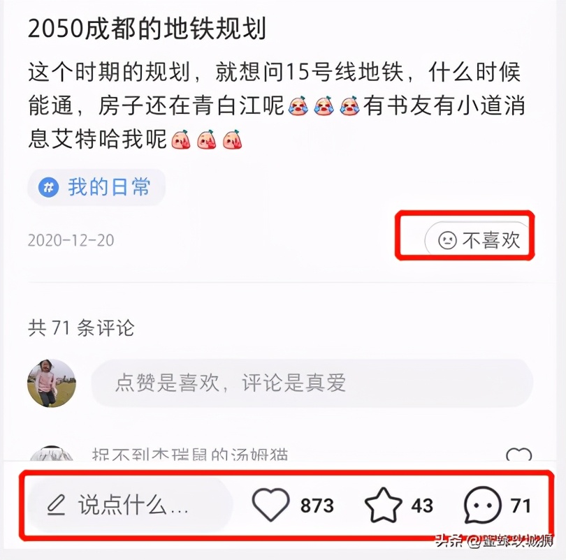 小红书app是一款什么软件（小红书app是一个什么软件？是干嘛的？）