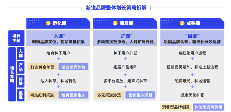 新锐品牌的快速成长（附新锐品牌增长的3个阶段）