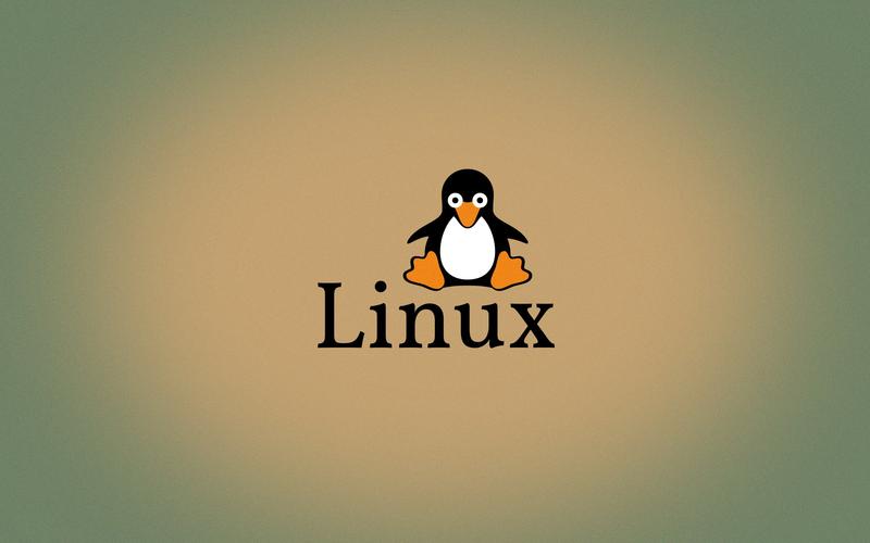 Linux中同步服务器时间（电脑时间同步服务器命令）