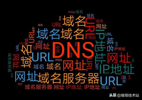 网站域名是指哪部分（网址，URL，域名，IP地址，DNS，域名解析）