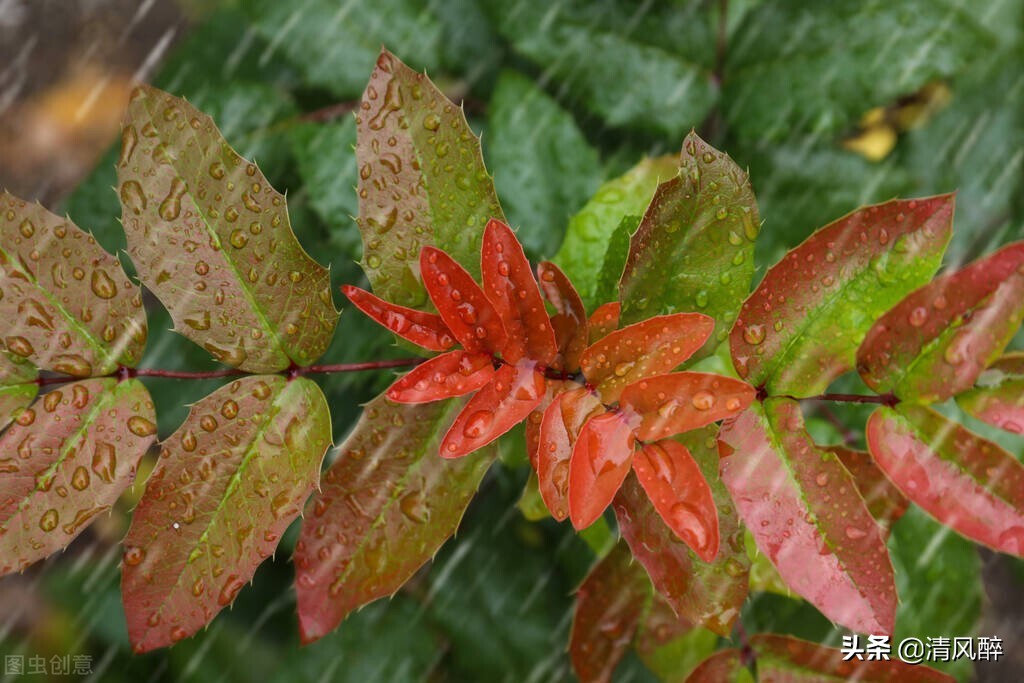 抖音上最火的下雨说说短句（适合雨天深夜发的伤感说说）