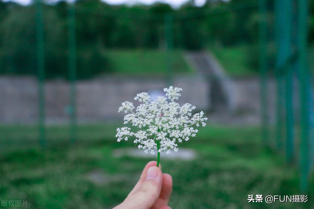 手机拍摄照构图技巧有哪些（12个手机摄影技巧分享）