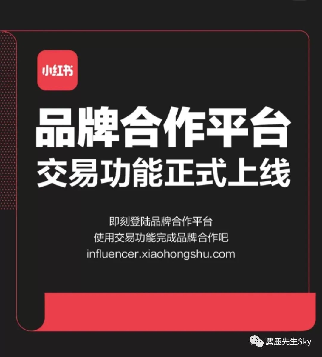 小红书发布的内容怎么做推广？（小红书博主变现必看）