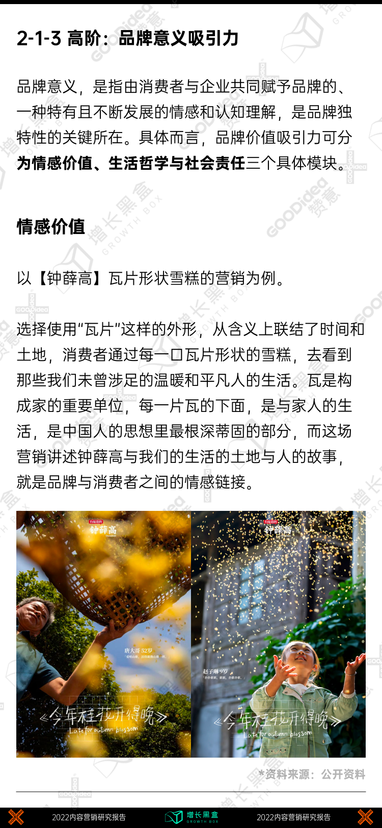 战略规划白皮书（附2022内容增长战略白皮书）