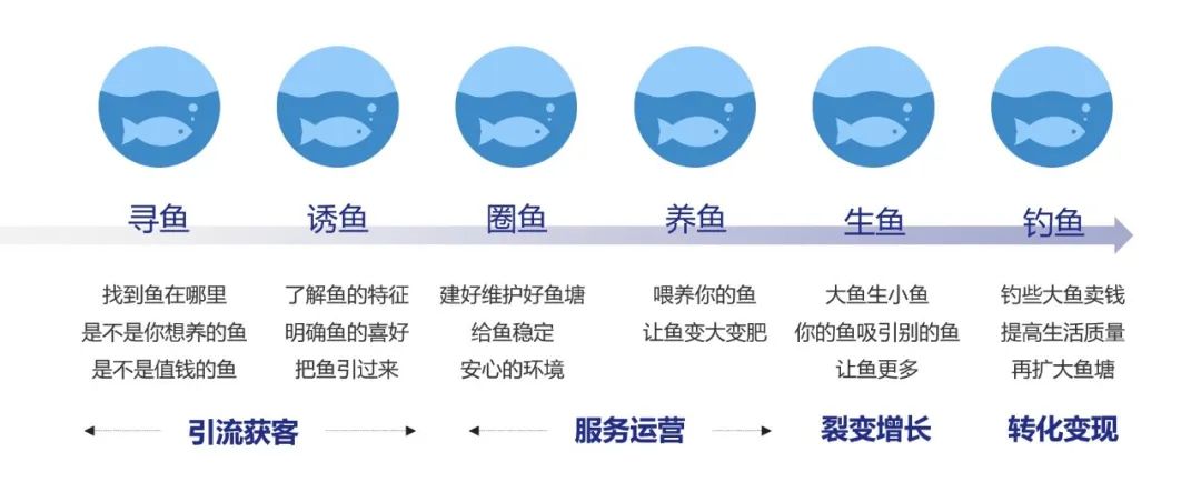 流量增长运营做什么（用户流量变迁）