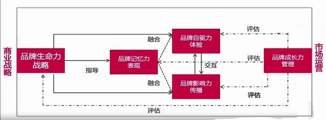 一个优秀的品牌具备的要素是什么（做品牌的必备知识及五项基本能力）