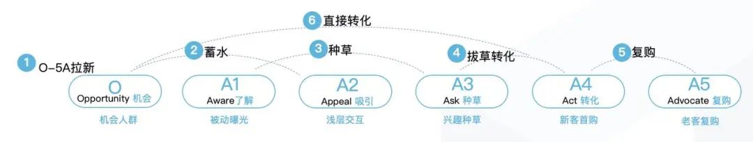 高效种草为什么是新品牌经营必杀技？（传统品牌与新品牌打造逻辑有哪些不同？）