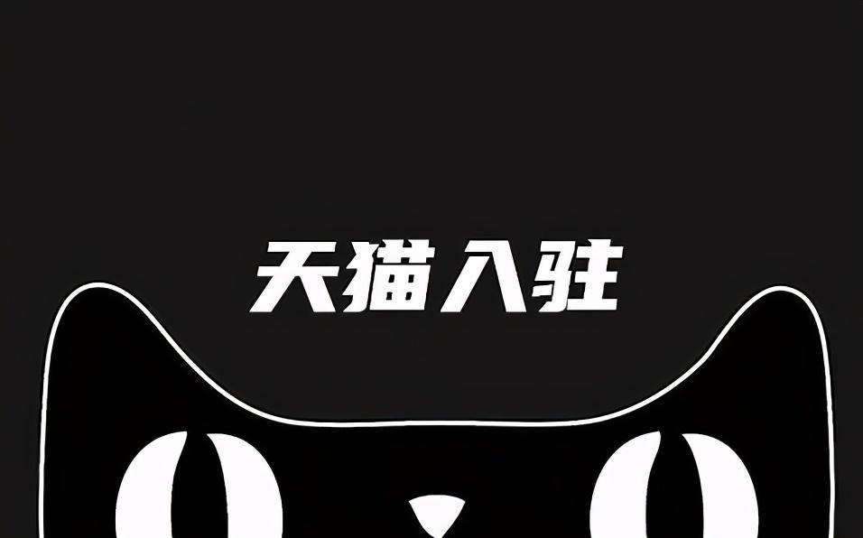 天猫代入驻需要什么流程和费用（选择天猫代入驻需要注意什么地方）