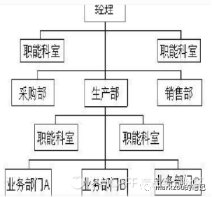 企业的管理团队和组织结构（组织架构及演变趋势）