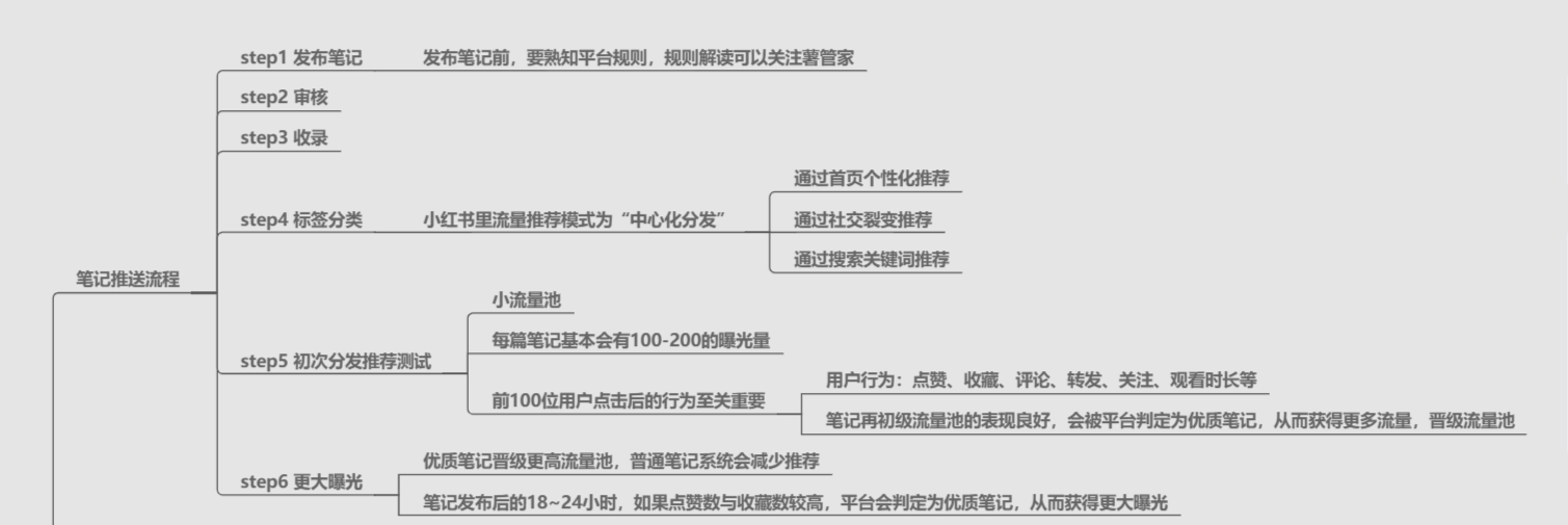 小红书企业号怎么推广（小红书企业号如何打造爆款内容）