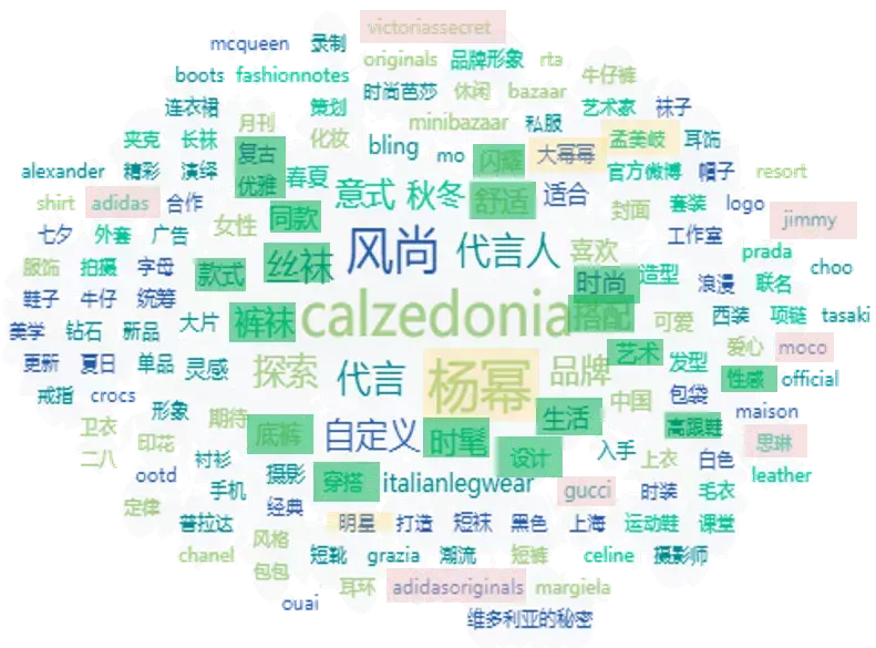 calzedonia品牌定位（意大利瘦腿袜品牌）“小网红”更有大潜力