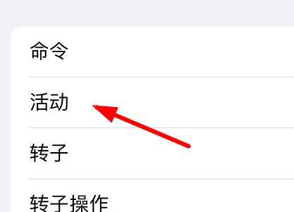 iphone13怎么关闭旁白? （iPhone13设置旁白的活动方法）