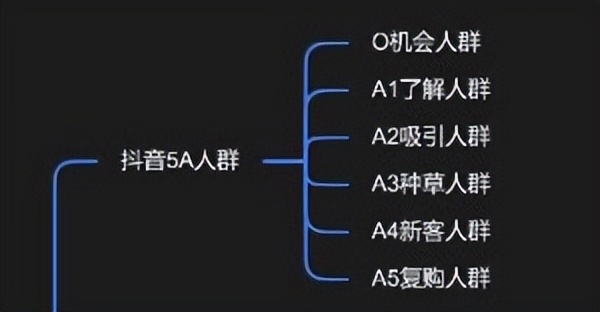 抖音为什么要建立电商体系（品牌如何合理全面布局内容增长）