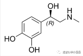 取标题有几种方法技巧（各种案例分析）