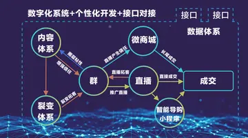 私域运营的内容（86条私域运营干货汇总，值得收藏）