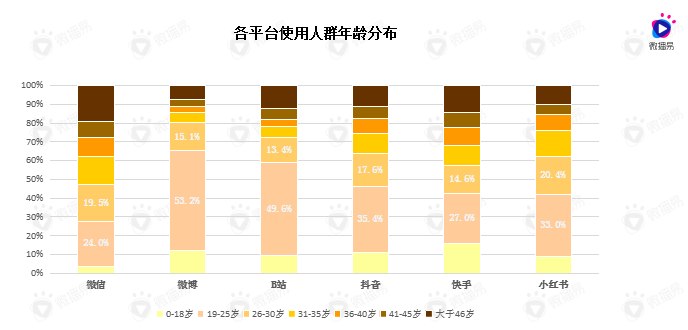 b站后浪营销案例分析（B站的营销模式）