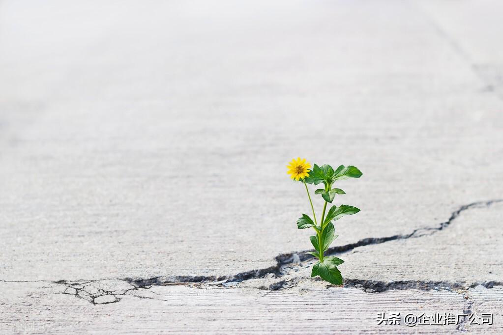 软文营销的注意事项（直播软文推广主要有哪些技巧）