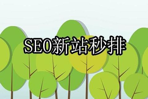 新站优化方案以及计划（新站快速优化技巧）