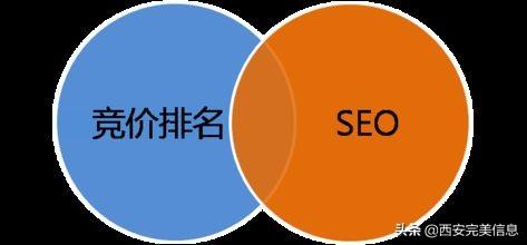 网站seo（sem推广和seo优化有什么区别）