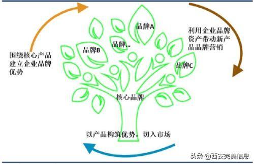 网站SEO优化技术（网页的seo优化）