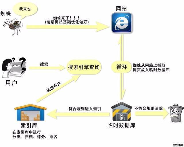 怎样查看百度蜘蛛的抓取情况（百度蜘蛛如何正确抓取）