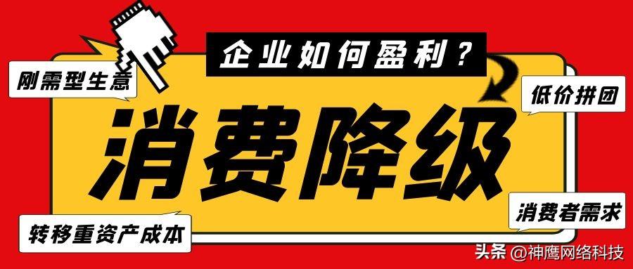 抢占市场先机的重要性（分析消费升级中的降级现象）