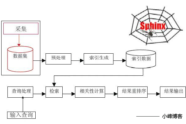 如何提高seo的排名（提升总网站的权重方法）