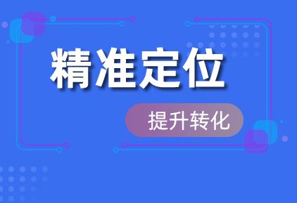 网站优化关键词的技巧（网站关键词优化软件效果）