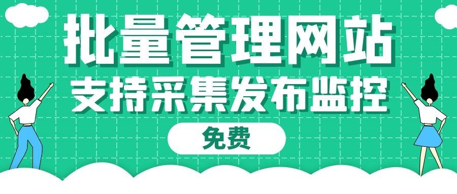 seo站群优化技术（seo网站优化）