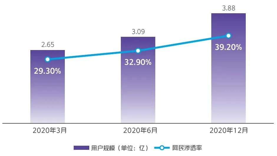 抖音电商崛起（电商的未来发展趋势）