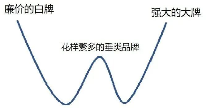 抖音电商崛起（电商的未来发展趋势）