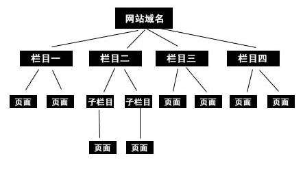 网站收录不好的原因（网站收录异常要学会多角度分析吗）