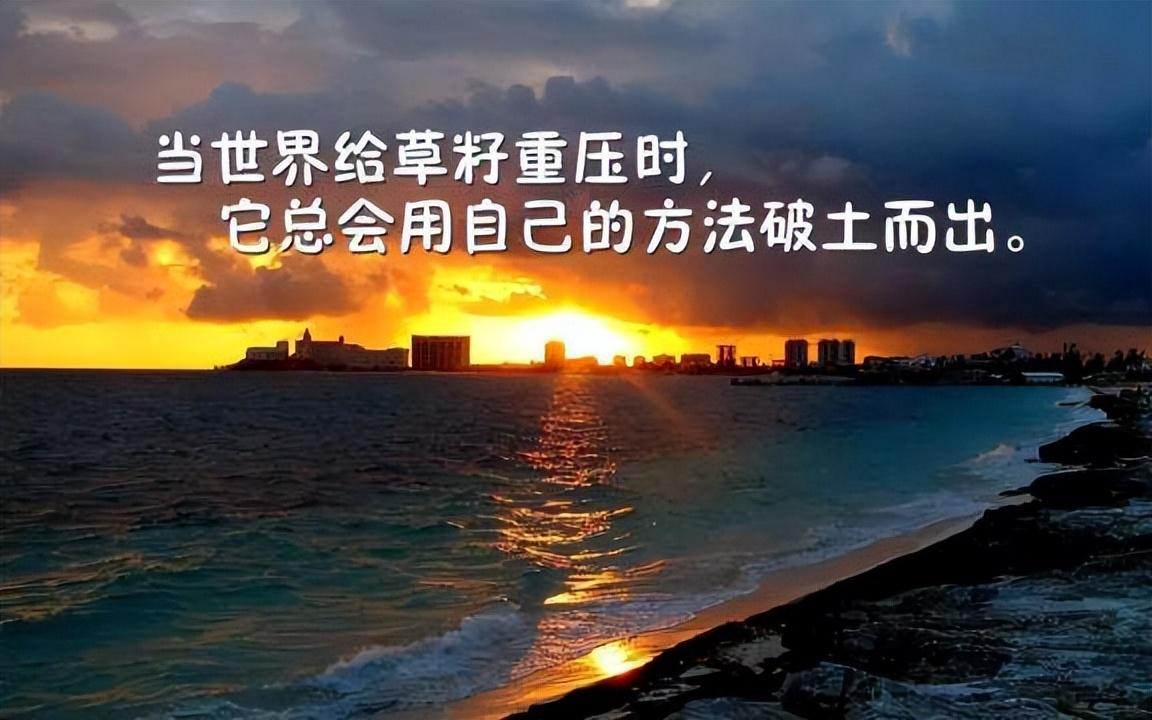 抖音怎么样精准引流（抖音目标客户分析）