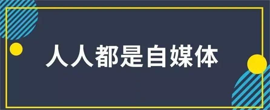 网站怎么吸引蜘蛛（seo营销战略）