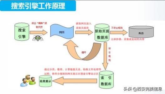 如何让网站收录更多（seo如何提升排名收录）