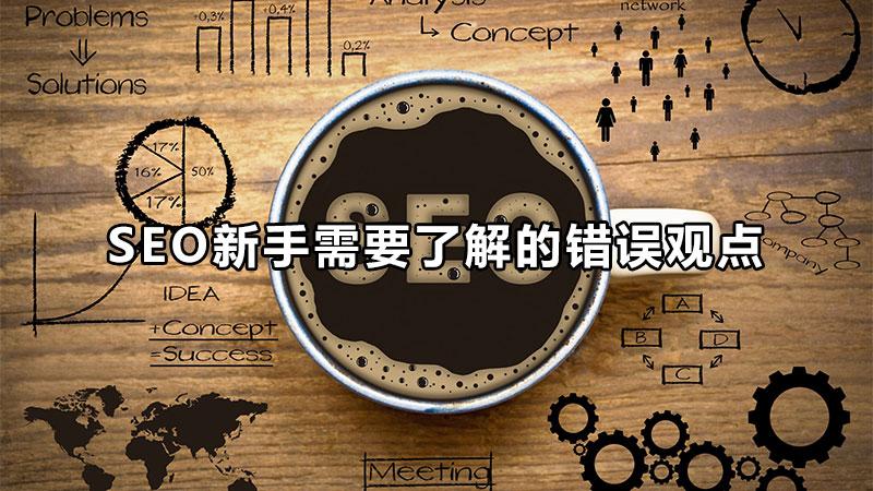 seo会遇到哪些问题（seo网站优化知识）